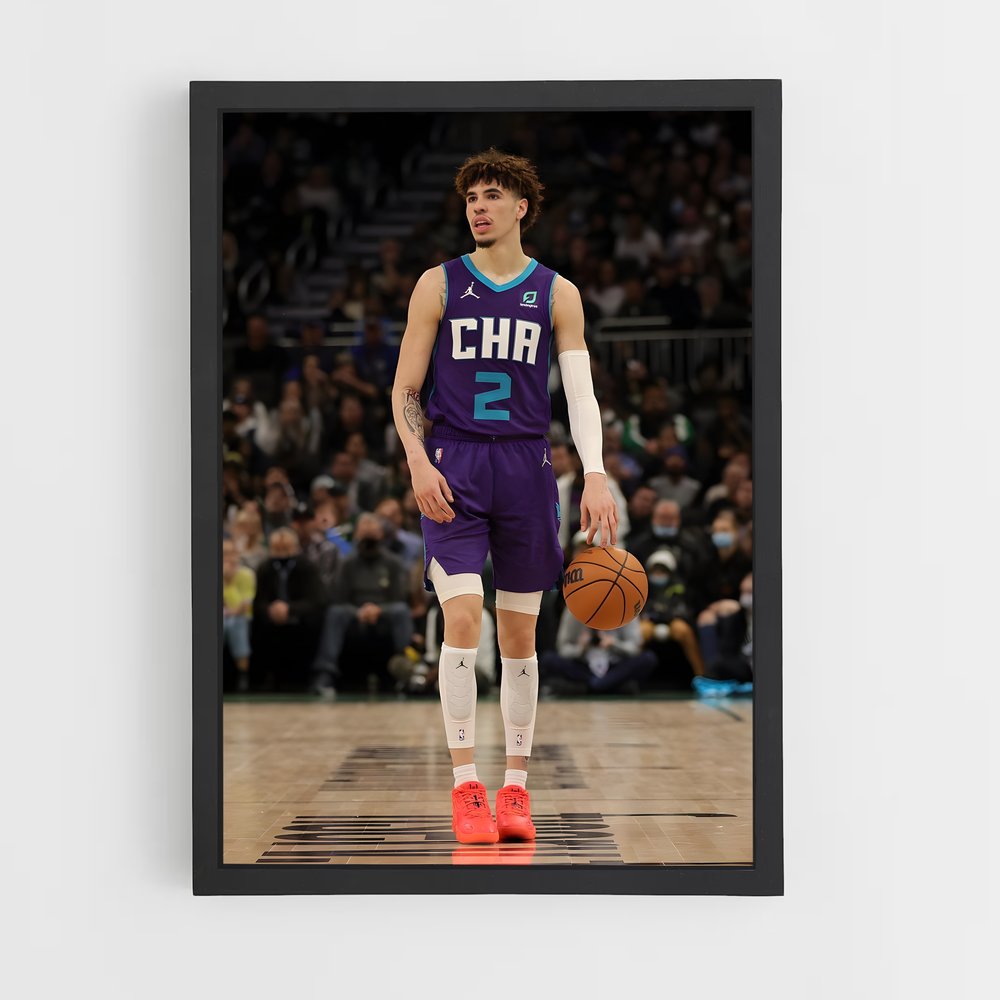 Poster Hornets en Action – affiche Basketball (vue 2)